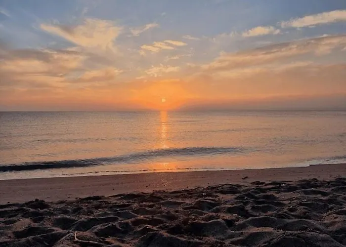 Petit Havre De Paix Au Bord De La Διαμέρισμα *