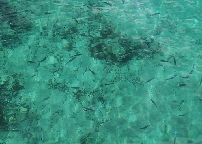 公寓 Petit Havre De Paix Au Bord De La *